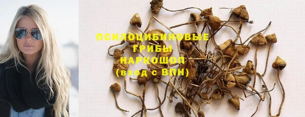 спайс Белоозёрский
