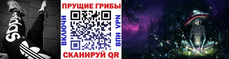 хочу   OMG tor  Галлюциногенные грибы Psilocybe  Демидов 