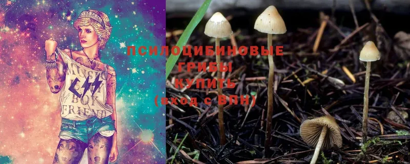 МЕГА сайт  купить наркоту  Демидов  Псилоцибиновые грибы MAGIC MUSHROOMS 